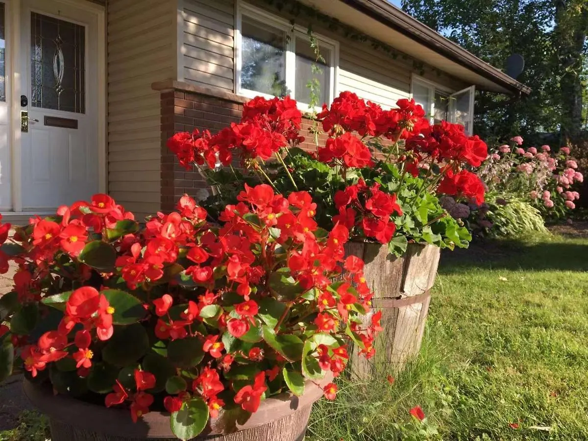 Graham Homestay Ottawa