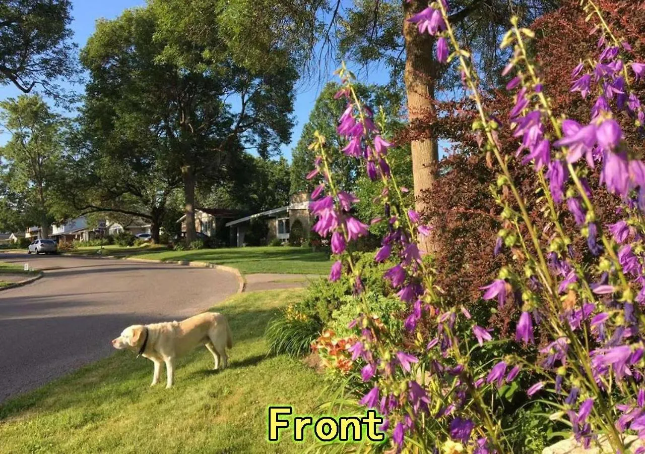 Graham Homestay Ottawa